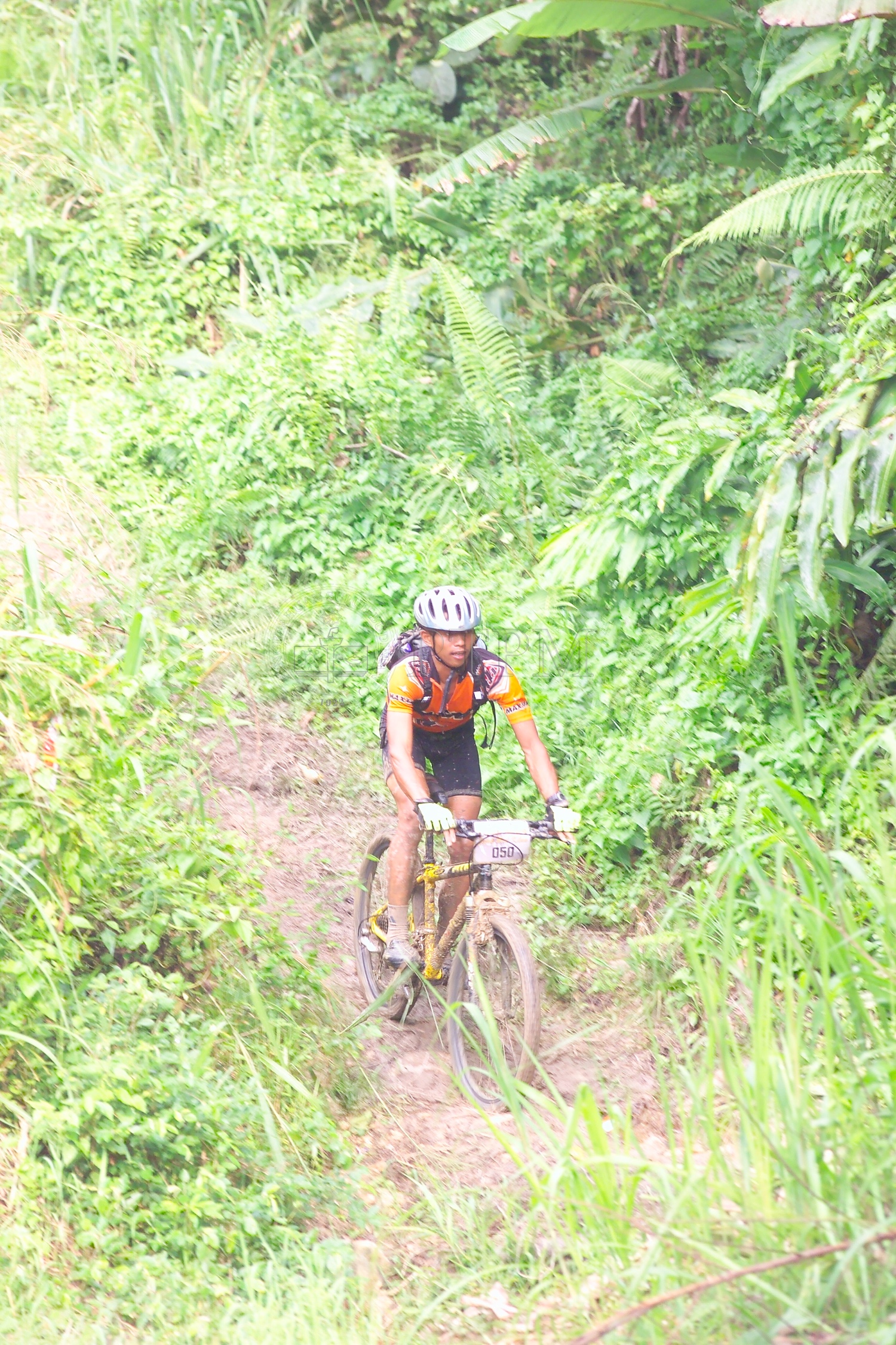 PTPM 06 31 kilau D9X44231